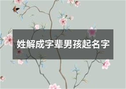 姓解成字辈男孩起名字