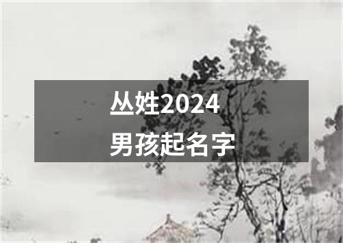 丛姓2024男孩起名字