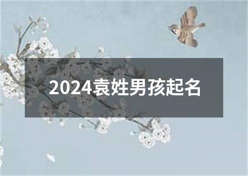 2024袁姓男孩起名