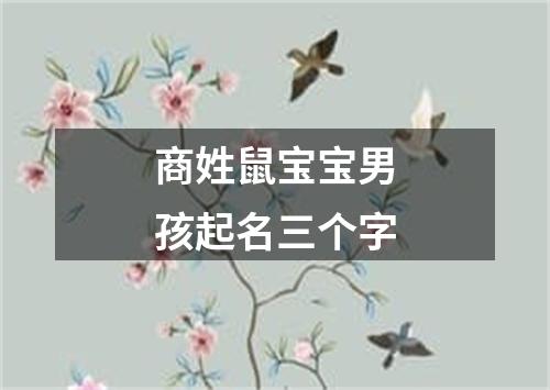 商姓鼠宝宝男孩起名三个字