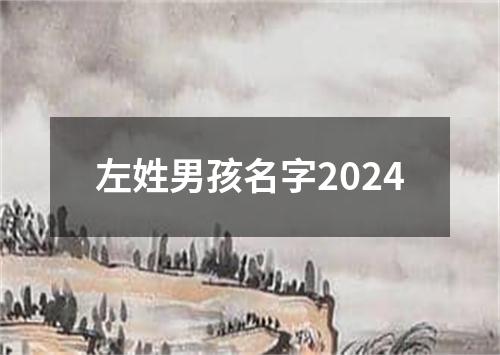 左姓男孩名字2024