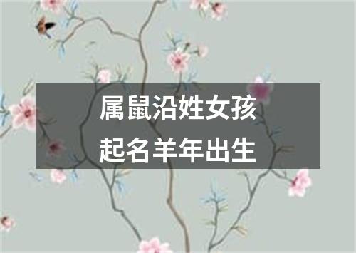 属鼠沿姓女孩起名羊年出生