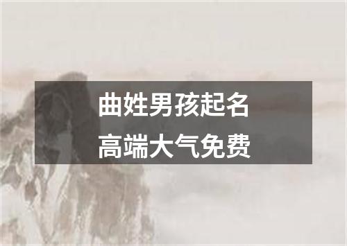 曲姓男孩起名高端大气免费