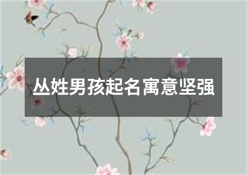 丛姓男孩起名寓意坚强