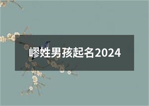 嵺姓男孩起名2024