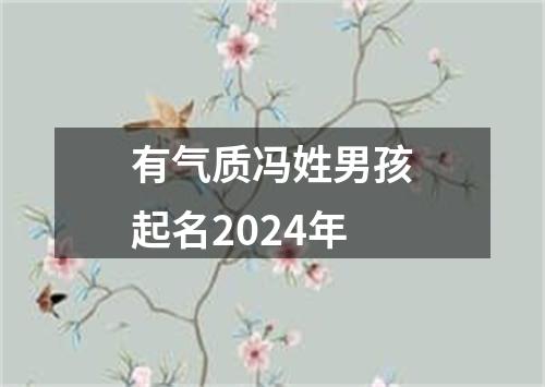 有气质冯姓男孩起名2024年