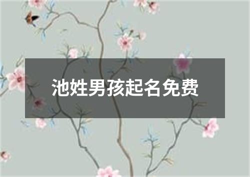 池姓男孩起名免费