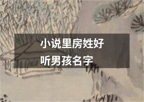 小说里房姓好听男孩名字