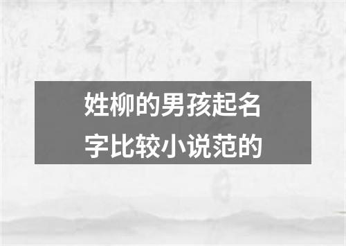 姓柳的男孩起名字比较小说范的