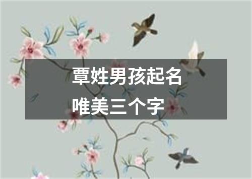 覃姓男孩起名唯美三个字