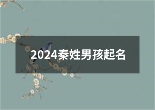 2024秦姓男孩起名