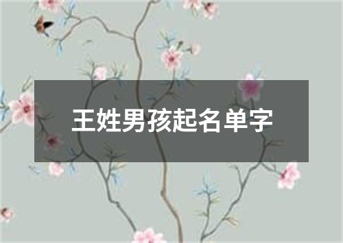 王姓男孩起名单字