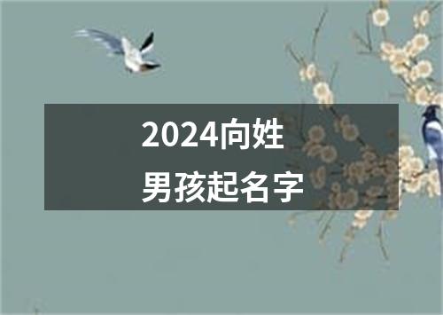 2024向姓男孩起名字