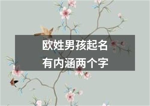 欧姓男孩起名有内涵两个字