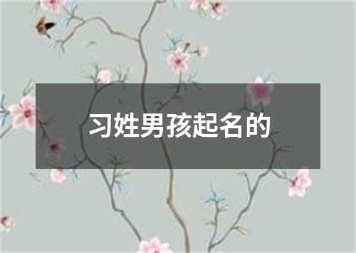 习姓男孩起名的