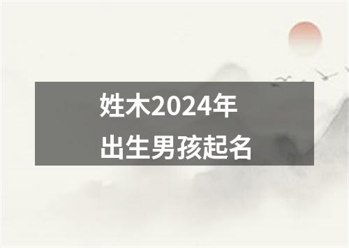 姓木2024年出生男孩起名