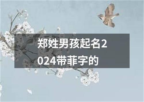 郑姓男孩起名2024带菲字的