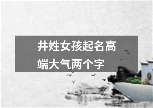 井姓女孩起名高端大气两个字