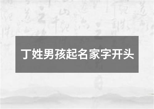 丁姓男孩起名家字开头