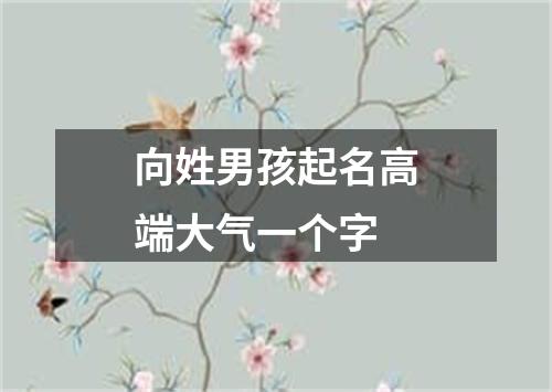 向姓男孩起名高端大气一个字