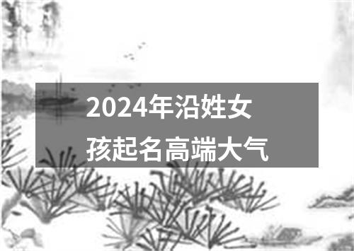 2024年沿姓女孩起名高端大气