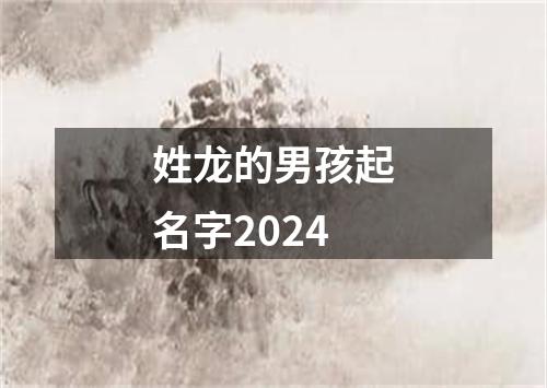 姓龙的男孩起名字2024