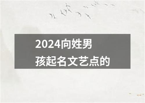 2024向姓男孩起名文艺点的