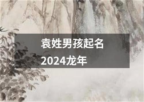 袁姓男孩起名2024龙年