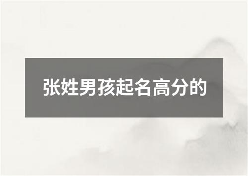 张姓男孩起名高分的