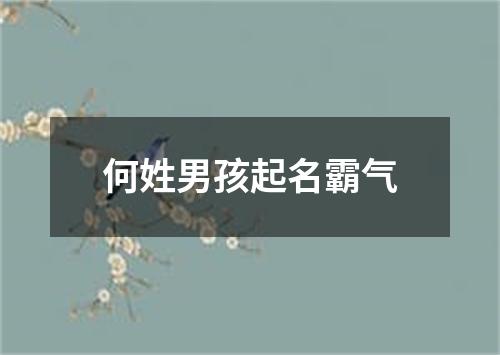 何姓男孩起名霸气