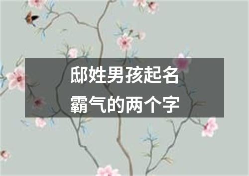 邸姓男孩起名霸气的两个字