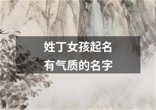 姓丁女孩起名有气质的名字