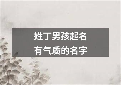 姓丁男孩起名有气质的名字