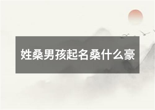 姓桑男孩起名桑什么豪