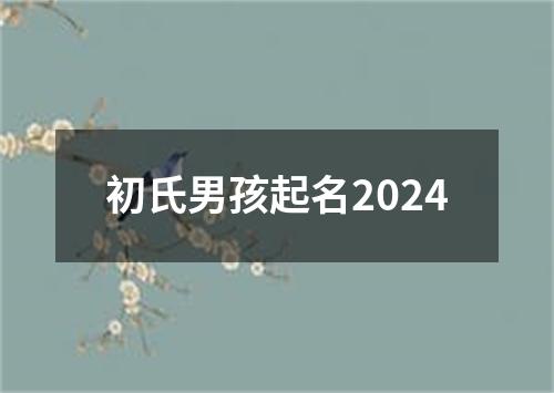 初氏男孩起名2024