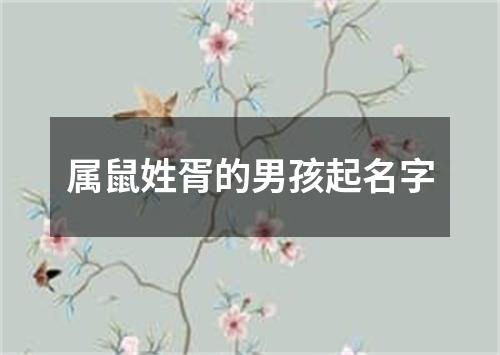 属鼠姓胥的男孩起名字