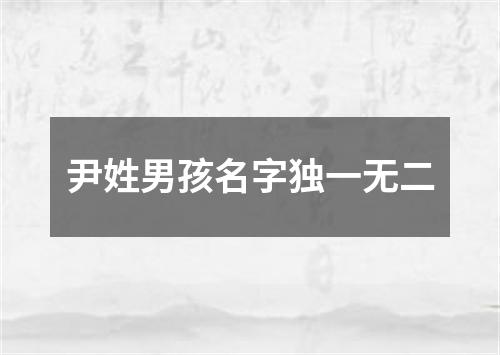 尹姓男孩名字独一无二