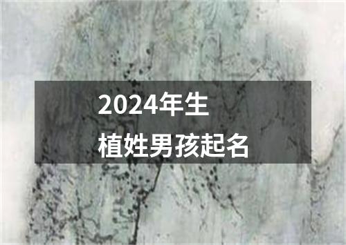 2024年生植姓男孩起名