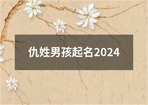 仇姓男孩起名2024