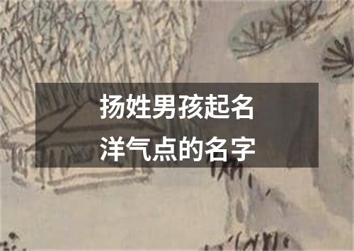 扬姓男孩起名洋气点的名字