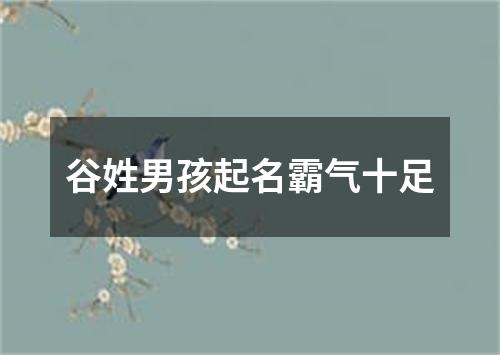 谷姓男孩起名霸气十足