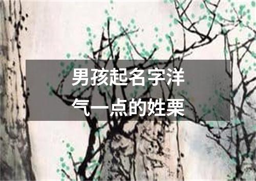 男孩起名字洋气一点的姓栗