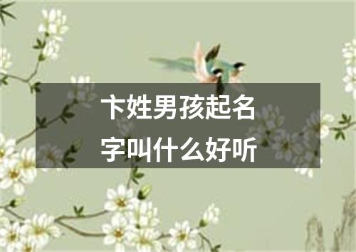 卞姓男孩起名字叫什么好听