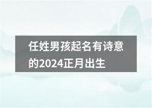 任姓男孩起名有诗意的2024正月出生