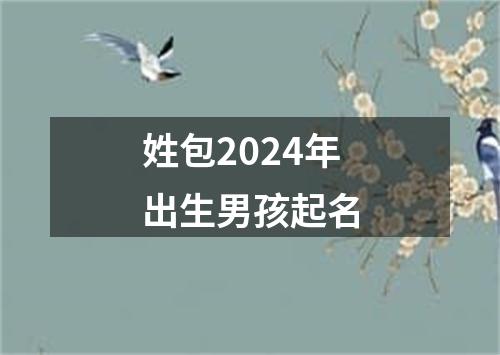 姓包2024年出生男孩起名