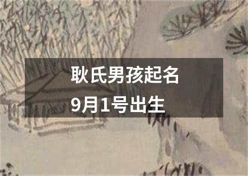 耿氏男孩起名9月1号出生