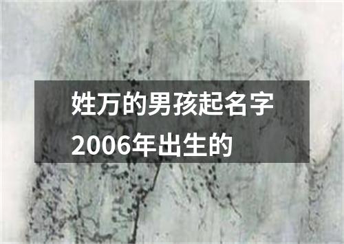 姓万的男孩起名字2006年出生的