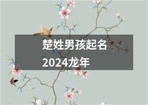 楚姓男孩起名2024龙年