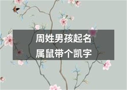 周姓男孩起名属鼠带个凯字