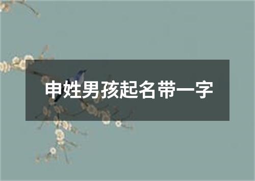 申姓男孩起名带一字